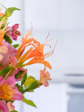 Load image into Gallery viewer, 漫步入秋素顏花束| STROLLING AUTUMN BARE FACE BOUQUET | OMAKASE 大師SOLOMON 花藝教室 | 家居鮮花插花擺設