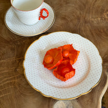 Load image into Gallery viewer, 1960s Teaset Trio