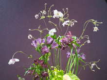 Load image into Gallery viewer, 青綠色屏風設計 | GREEN SCREEN EDITION | OMAKASE 大師SOLOMON 花藝教室 | 家居鮮花插花擺設