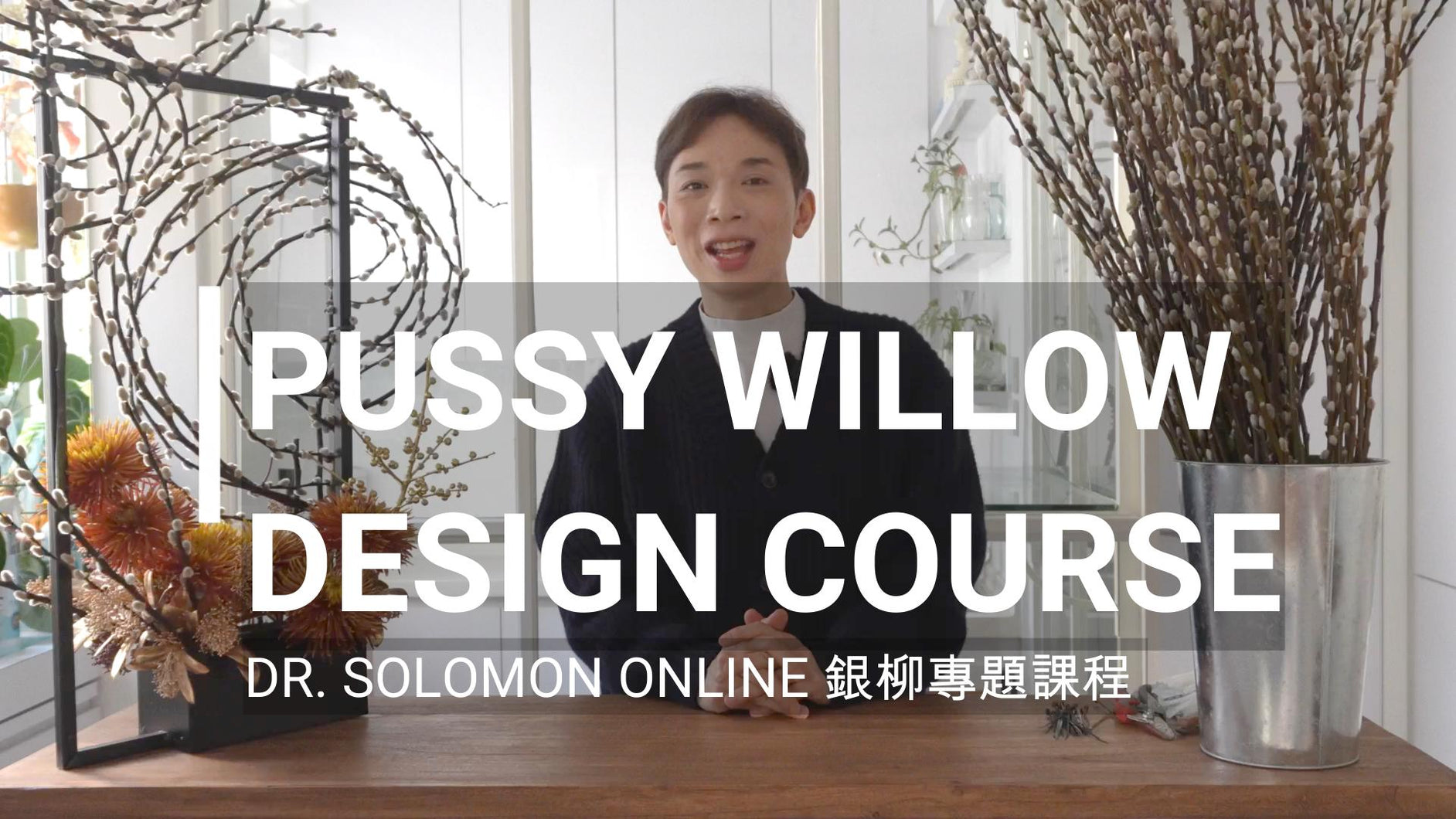 Online Pussy Willow Design Course