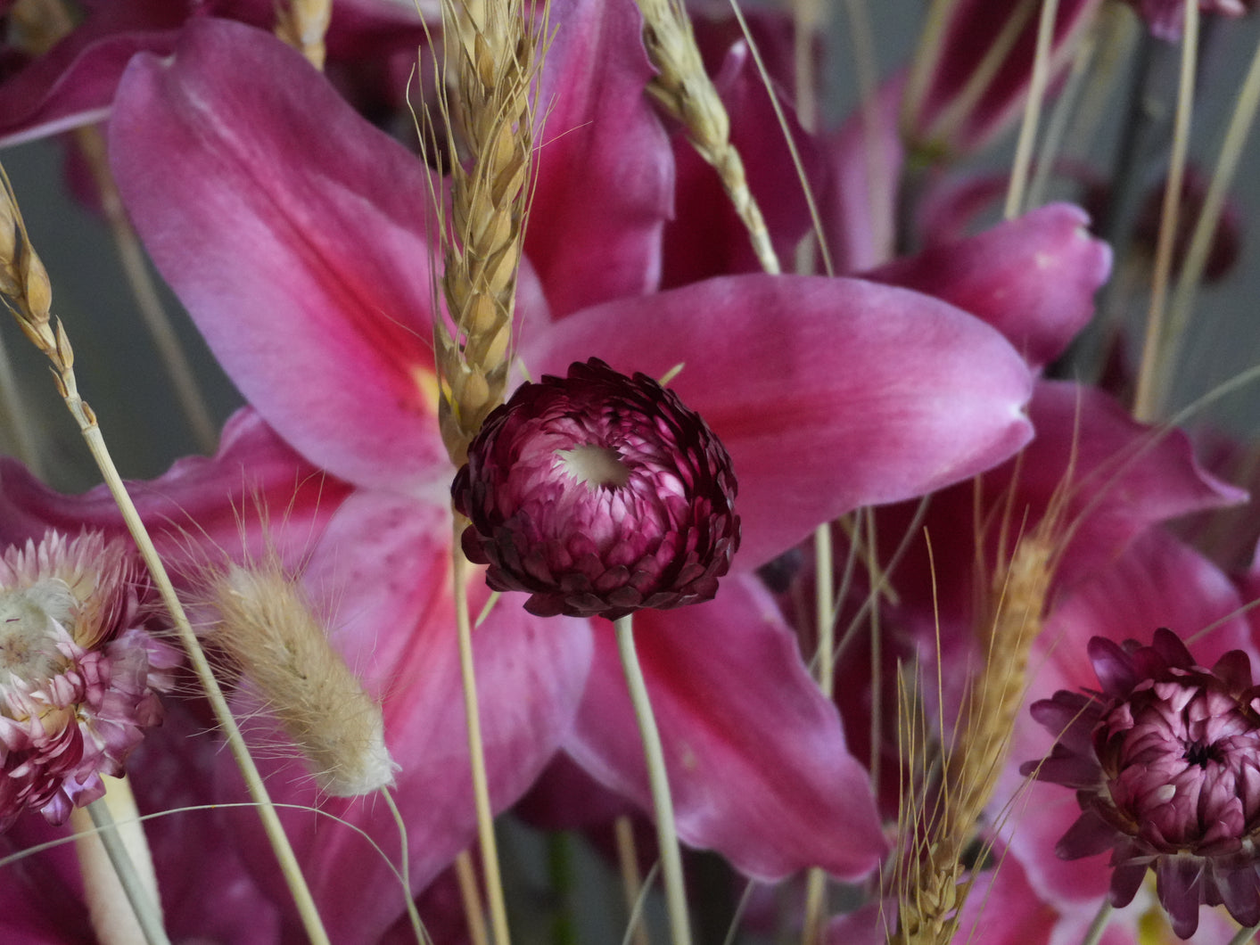 September Masterclass: Magenta Fireworks in the Wheat Field | 9月花藝大師班：麥浪中的洋紅花火