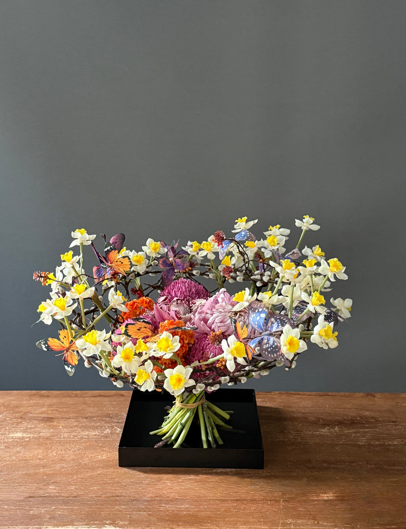 水仙花園 | Narcissi Garden