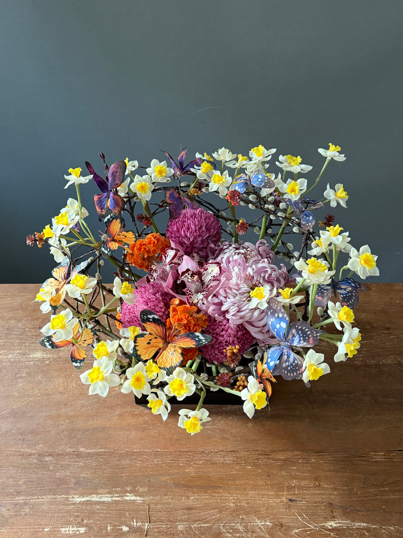 水仙花園 | Narcissi Garden