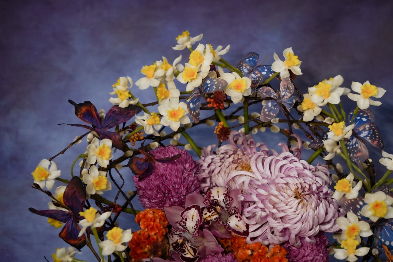 水仙花園 | Narcissi Garden