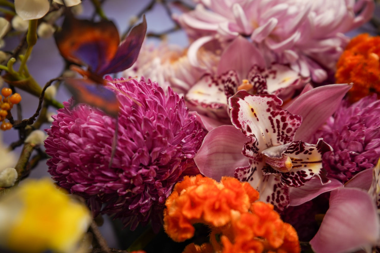 水仙花園 | Narcissi Garden