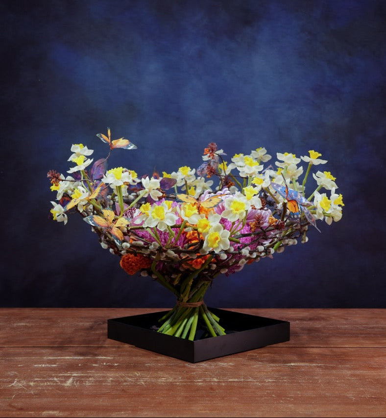 水仙花園 | Narcissi Garden