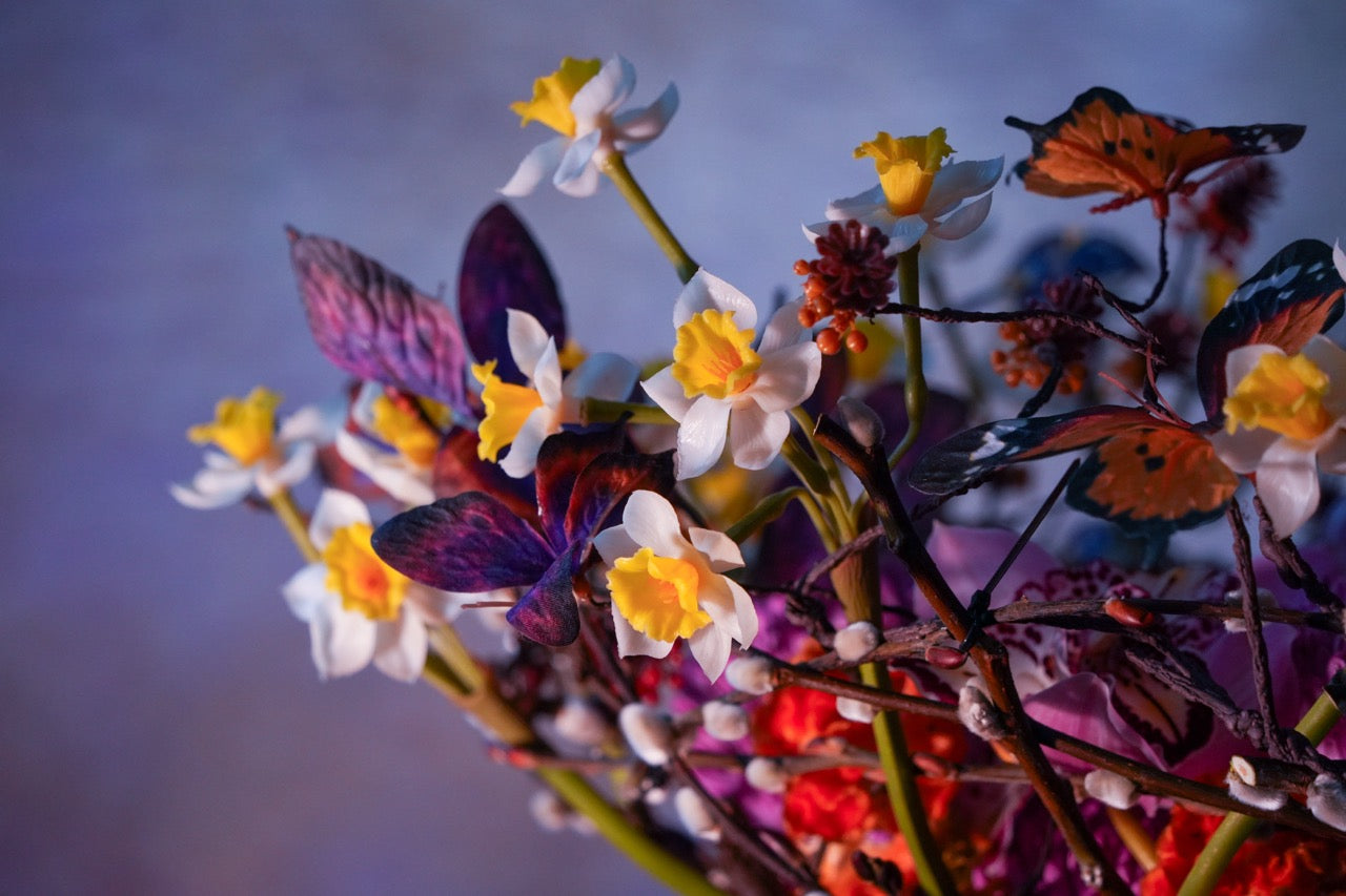 水仙花園 | Narcissi Garden