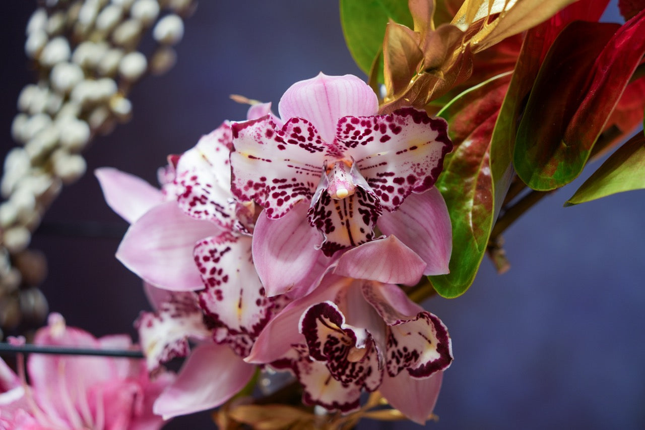 一馬當先 |  Leading the charge