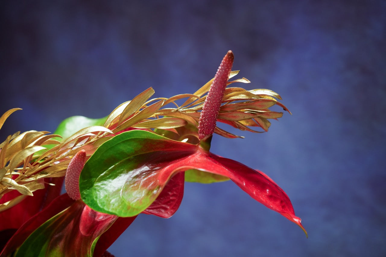 一馬當先 |  Leading the charge