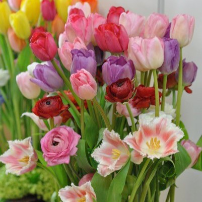 Flower Tasting  Workshop 花藝體驗課程 - Enchanting Tulip Garden